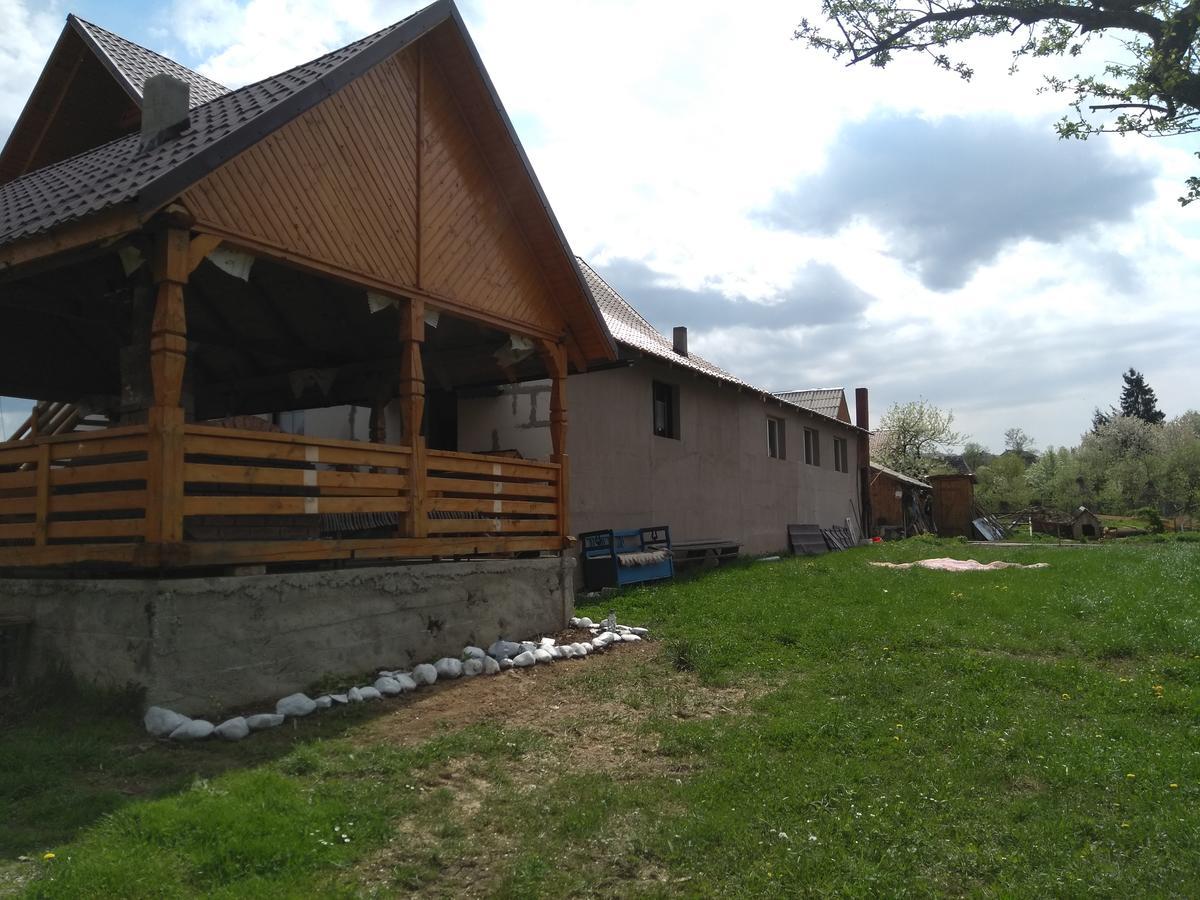 Pensiune Agroturistica "Casa Teodora" Budeşti 外观 照片