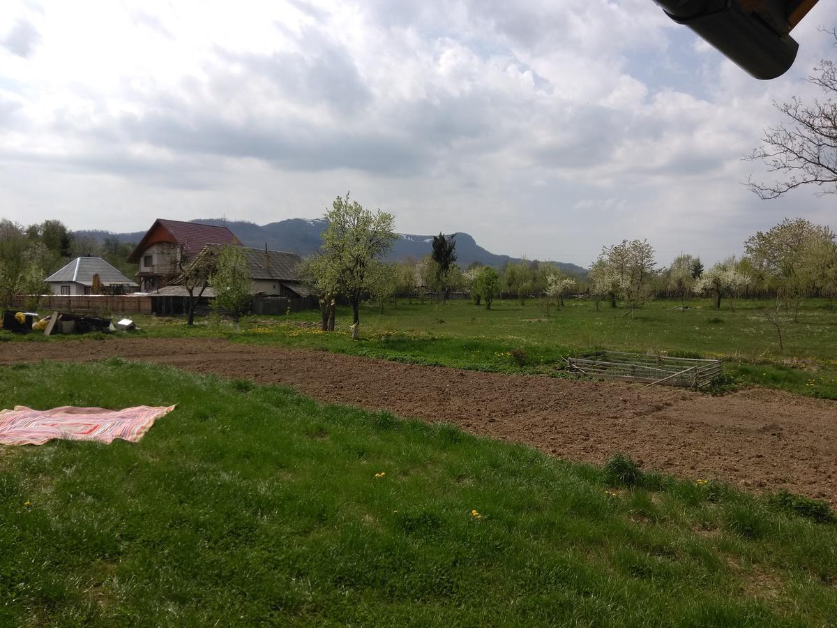 Pensiune Agroturistica "Casa Teodora" Budeşti 外观 照片