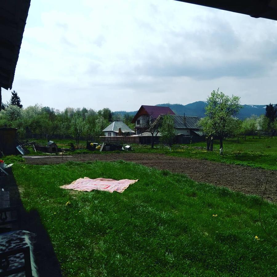 Pensiune Agroturistica "Casa Teodora" Budeşti 外观 照片